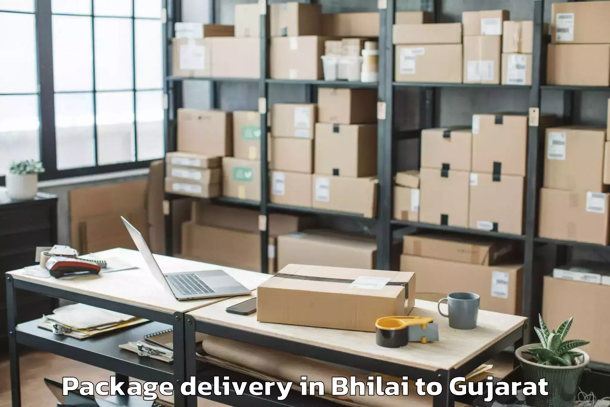 Quality Bhilai to Lunawada Package Delivery